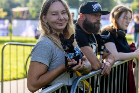 BSK_7735.jpg-Ławka, Miszalski