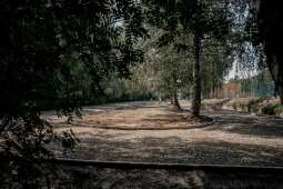 07-15_SP2_fot.Magdalena_Pachut_ZIS-11.jpg-Nowy obiekt sportowy Szkoły Podstawowej nr 2