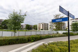 20250724-BSK_0011.jpg