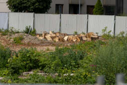 20250724-BSK_0014.jpg