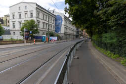 20250804-BSK_6766.jpg