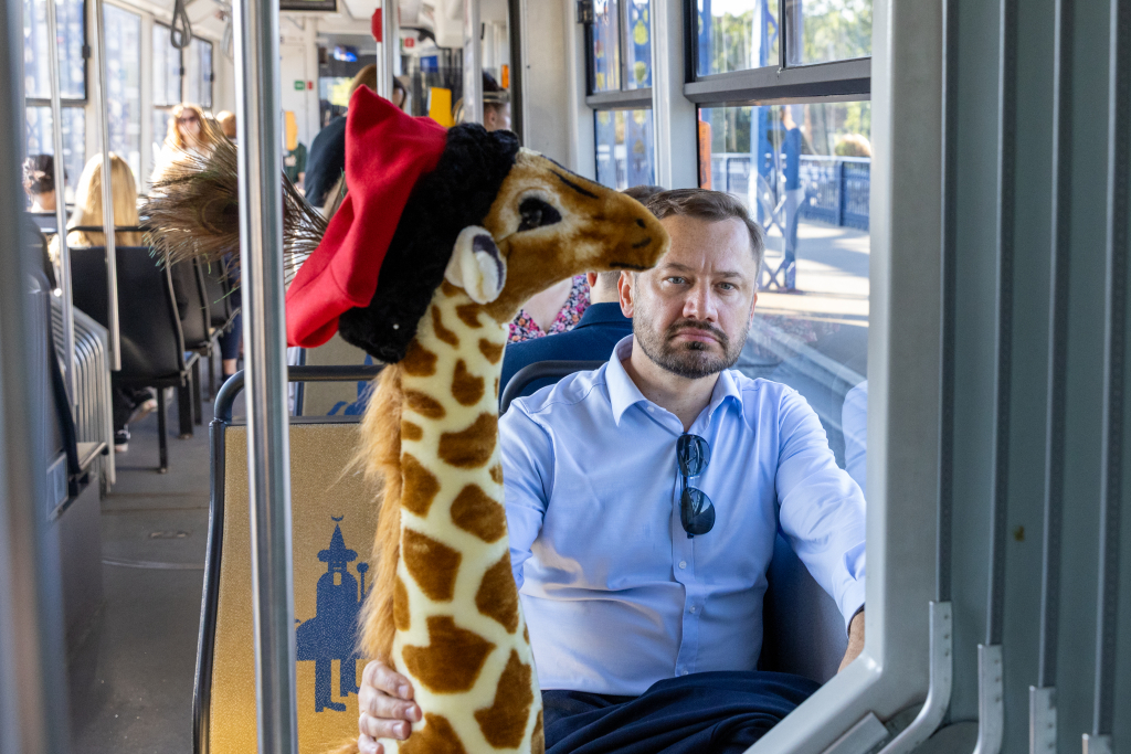 20250805-BSK_7043.jpg-Żyrafa, Miszalski, Szpital  Autor: B. Świerzowski