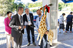 20250805-BSK_7103.jpg-Żyrafa, Miszalski, Szpital