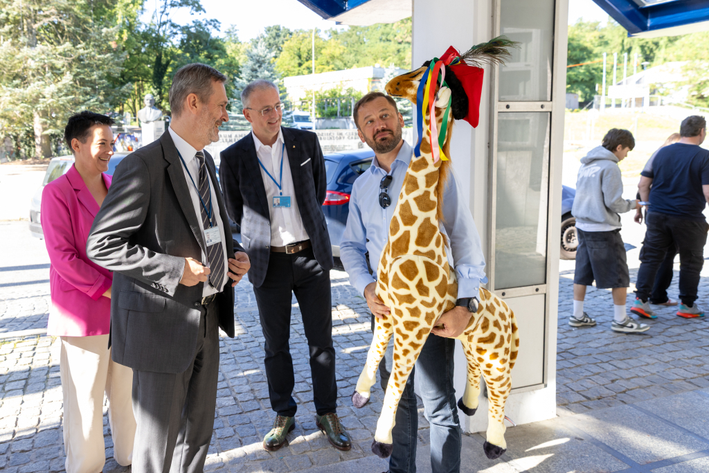 20250805-BSK_7103.jpg-Żyrafa, Miszalski, Szpital  Autor: B. Świerzowski