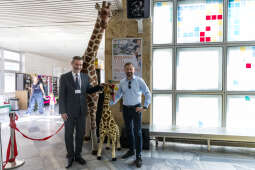 20250805-BSK_7117.jpg-Żyrafa, Miszalski, Szpital