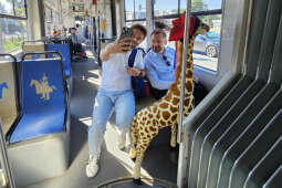 527597344_1332090268105637_88634267095769762_n.jpg-Żyrafa, Miszalski, Szpital