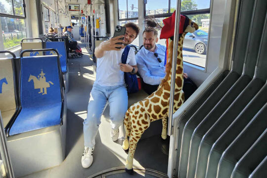 527597344_1332090268105637_88634267095769762_n.jpg-Żyrafa, Miszalski, Szpital