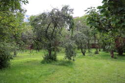 Zdjęcie 9.08.2025, 09 48 31.jpg