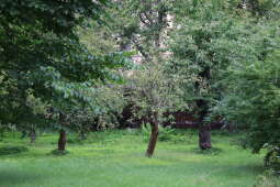 Zdjęcie 9.08.2025, 10 16 20.jpg