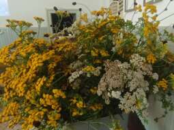 3d4TnP66.jpg-Duchowe i twórcze przygotowania do Święta Matki Boskiej Zielnej