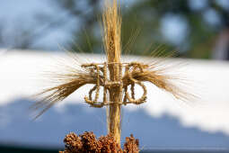 BS-250815-BSK_9728.jpg-Dożynki, Pleszów, Miszalski, Drabik