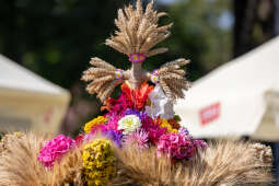 BS-250815-BSK_9733.jpg-Dożynki, Pleszów, Miszalski, Drabik