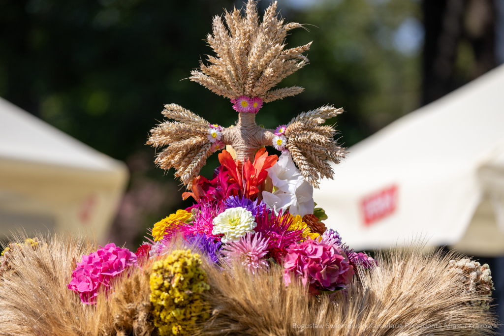 BS-250815-BSK_9733.jpg-Dożynki, Pleszów, Miszalski, Drabik  Autor: B. Świerzowski