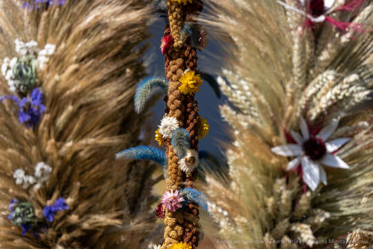 BS-250815-BSK_9735.jpg-Dożynki, Pleszów, Miszalski, Drabik