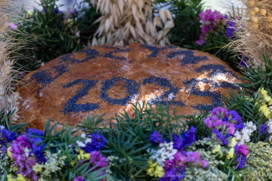 BS-250815-BSK_9737.jpg-Dożynki, Pleszów, Miszalski, Drabik