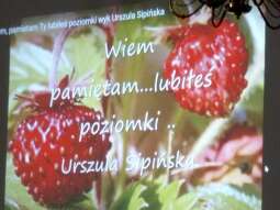 DZpXr_N-.jpg-Dzień Owoców.