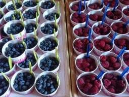 oTAC7JmW.jpg-Dzień Owoców.