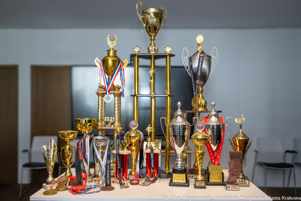 Sęk, karate, Krakowska Akademia Sportu, medaliści, spotkanie  Autor: P. Wojnarowski