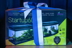 Miszalski, XXX, LO, Liceum Ogólnokształcące, nowy rok szkolny, Raś, Klaman, hala, Pasek