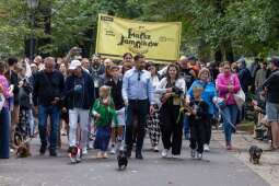 6zmvGSxA.jpeg-„Ja i mój Jamnik – duet doskonały”, czyli 27. Marsz Jamników