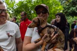 btp_1Q1g.jpeg-„Ja i mój Jamnik – duet doskonały”, czyli 27. Marsz Jamników