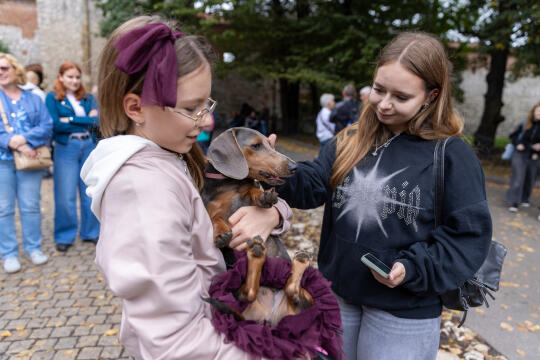 BSK_2898.jpg-Marsz Jamników, Miszalski