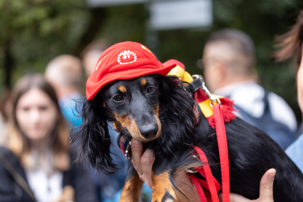 BSK_2921.jpg-Marsz Jamników, Miszalski  Autor: B. Świerzowski