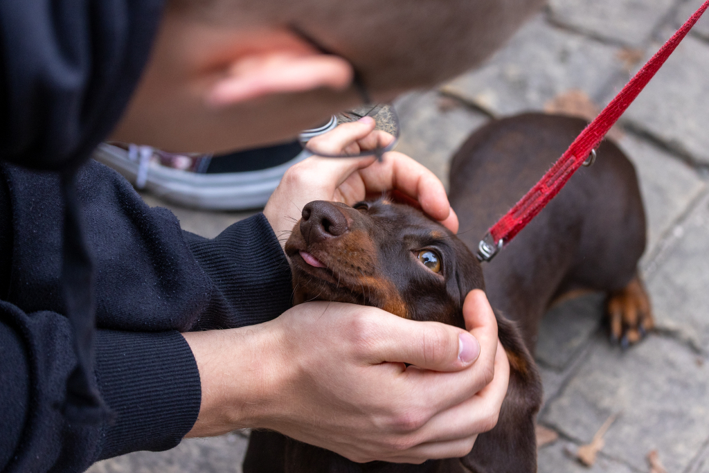 BSK_2947.jpg-Marsz Jamników, Miszalski  Autor: B. Świerzowski