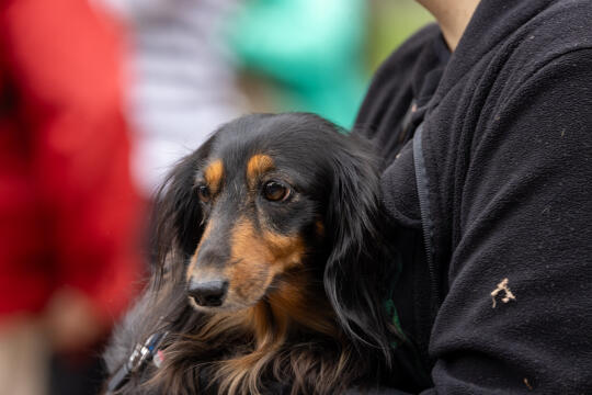 BSK_2956.jpg-Marsz Jamników, Miszalski