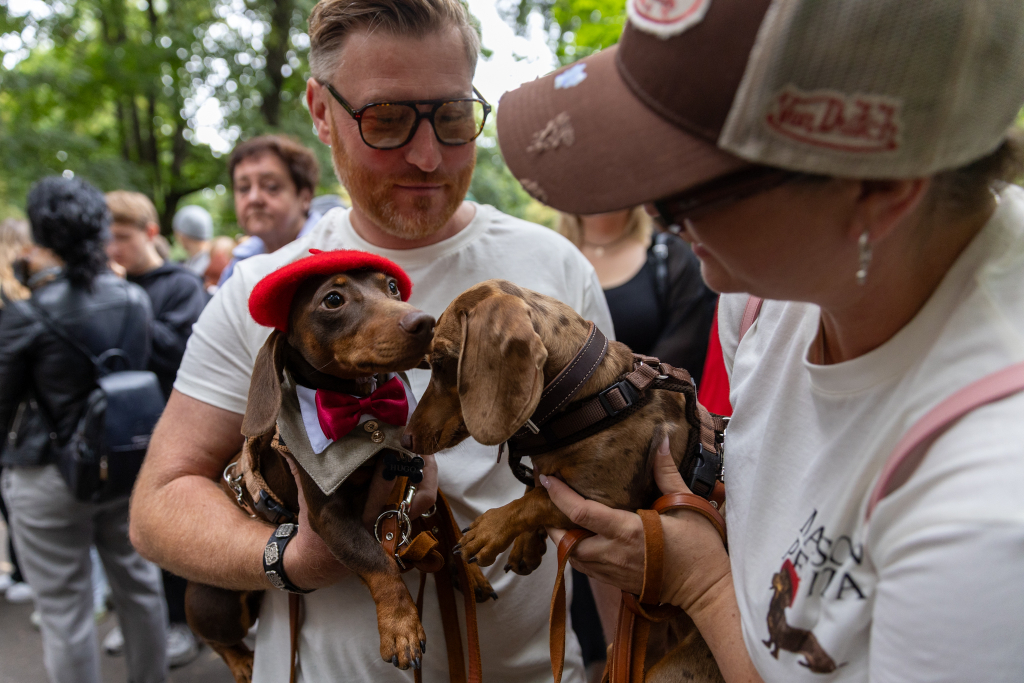 BSK_3047.jpg-Marsz Jamników, Miszalski  Autor: B. Świerzowski