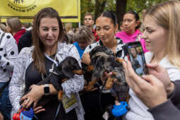 BSK_3054.jpg-Marsz Jamników, Miszalski