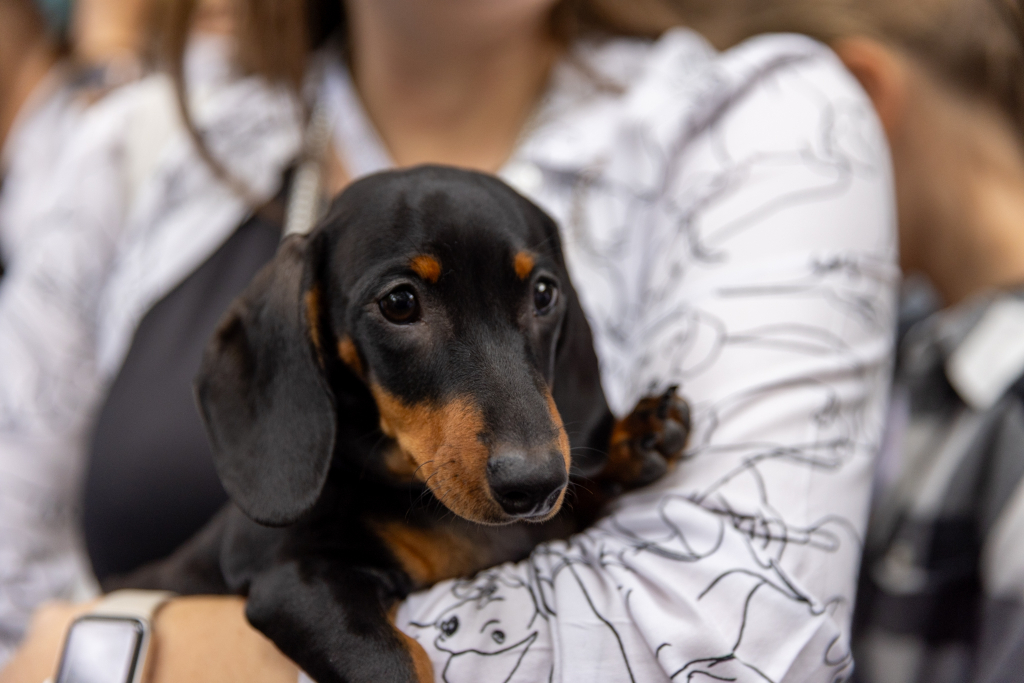 BSK_3070.jpg-Marsz Jamników, Miszalski  Autor: B. Świerzowski