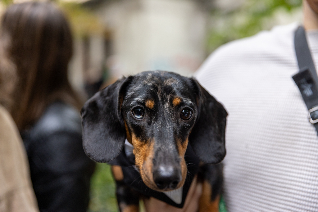 BSK_3163.jpg-Marsz Jamników, Miszalski  Autor: B. Świerzowski