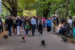 BSK_3187.jpg-Marsz Jamników, Miszalski