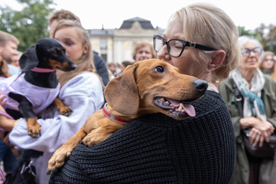 BSK_3229.jpg-Marsz Jamników, Miszalski
