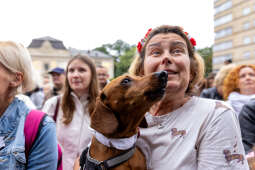 BSK_3235.jpg-Marsz Jamników, Miszalski