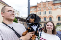 BSK_3259.jpg-Marsz Jamników, Miszalski