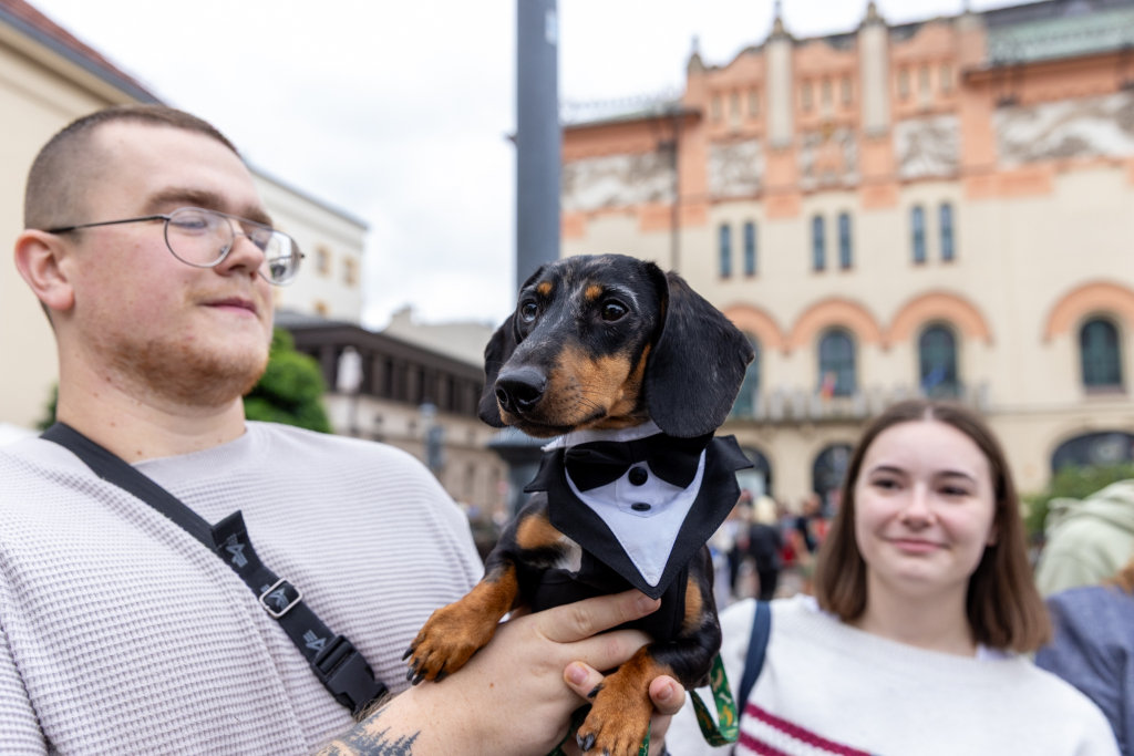 BSK_3259.jpg-Marsz Jamników, Miszalski  Autor: B. Świerzowski