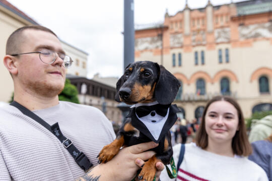 BSK_3259.jpg-Marsz Jamników, Miszalski
