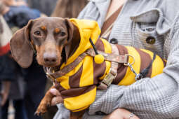 BSK_3363.jpg-Marsz Jamników, Miszalski