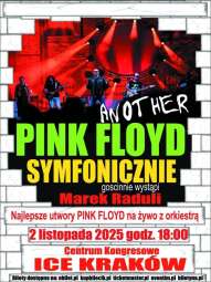 Logo: ANOTHER PINK FLOYD Symfonicznie