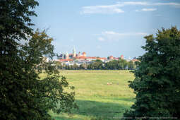 PW_571_032_fot. Piotr Wojnarowski.jpg-Miszalski, Centrum Muzyki, wizyta, zdjęcia