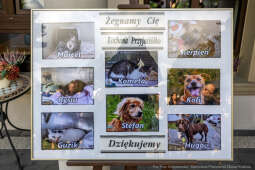 PW_575_034_fot. Piotr Wojnarowski.jpg-Pogrzeb Jadwigi Osuchowej na Cmentarzu Rakowickim