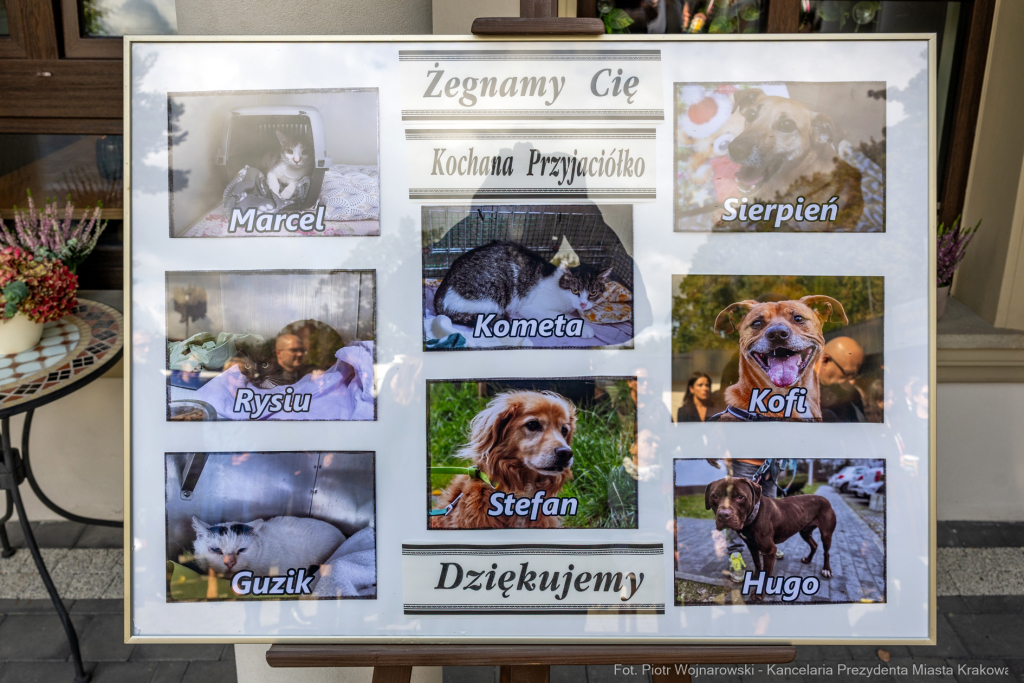 PW_575_034_fot. Piotr Wojnarowski.jpg-Pogrzeb Jadwigi Osuchowej na Cmentarzu Rakowickim  Autor: P. Wojnarowski