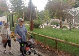N3lGGSMt.jpg-Seniorzy z Domu Helclów w krakowskim ZOO.