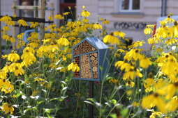 Zdjęcie 20.09.2025, 14 41 56.jpg-Otwarcie parku Kolejowego