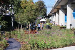 Zdjęcie 20.09.2025, 14 41 59.jpg-Otwarcie parku Kolejowego