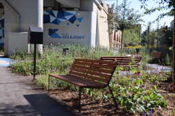 Zdjęcie 20.09.2025, 14 42 45.jpg-Otwarcie parku Kolejowego