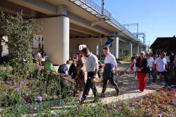 Zdjęcie 20.09.2025, 14 59 43.jpg-Otwarcie parku Kolejowego