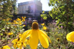 Zdjęcie 20.09.2025, 15 37 21.jpg-Otwarcie parku Kolejowego